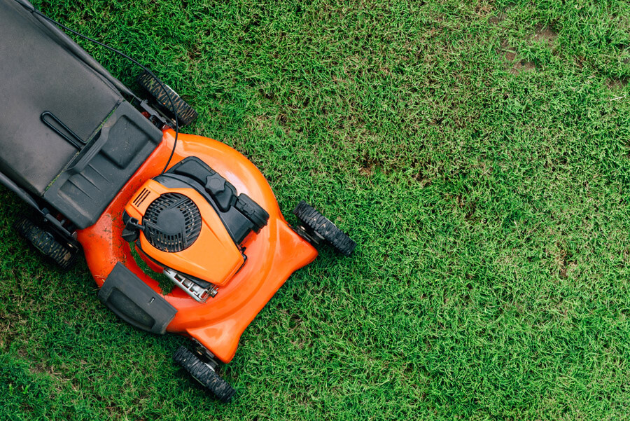 lawn mower mowing lawn